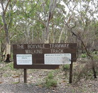 Box Vale Picnic Area - Hotel NSW