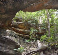 Cave Creek Walking Track - Hotel NSW