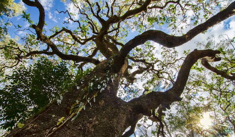 Woko National Park - Hotel NSW 1