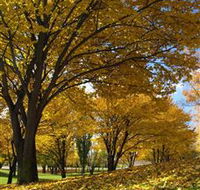 Centennial Park at Cooma - Hotel NSW
