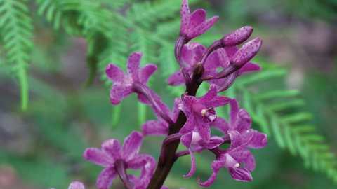 Oxley Wild Rivers National Park - Hotel NSW 3