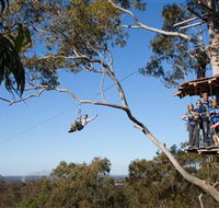 TreeTop Safari - Hotel NSW