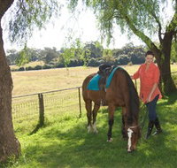 Sugarloaf Horse Centre - Hotel NSW
