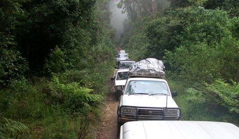 Carrai National Park - Hotel NSW 3