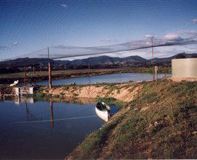 Trudgalong Farm - Hotel NSW 1