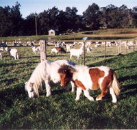 Trudgalong Farm - Hotel NSW