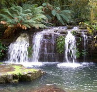 Barrington Tops National Park Walks - Hotel NSW