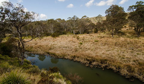 Werrikimbe National Park - Hotel NSW 0