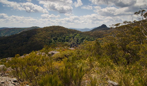 Werrikimbe National Park - Hotel NSW 1