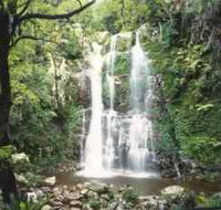 Budderoo National Park - The Falls Walk