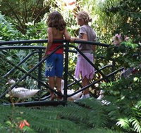 EG Waterhouse National Camellia Garden - Hotel NSW