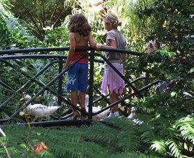 EG Waterhouse National Camellia Garden - Hotel NSW 0