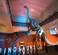Australian Museum - Hotel NSW