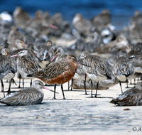 Cooloola Nature - Hotel NSW