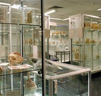 Museum of Human Disease - Hotel NSW
