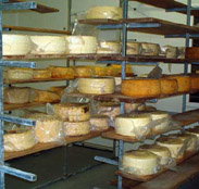 Harvey Cheese - Hotel NSW