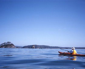 Kayaking Batemans Bay - Hotel NSW 0