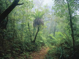 Wagawn - Hotel NSW 0