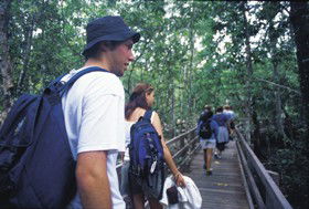 Wagawn - Hotel NSW 1