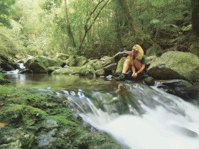 Lower Ballanjui Falls - Hotel NSW 0