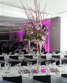 Cookabarra Restaurant And Function Centre - Tailor Made Fish Farms - Hotel NSW 5