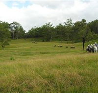 Numinbah Valley Adventure Trails - Hotel NSW