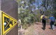 Greenbushes Loop - thumb 0