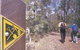 Greenbushes Loop - thumb 1