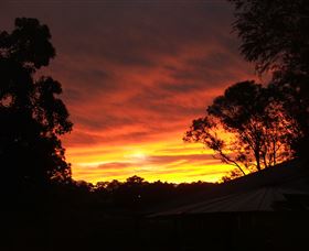 Tinonee Museum - Hotel NSW 0