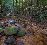Starrs Creek picnic area - Hotel NSW