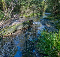Dawson River walking track - Hotel NSW