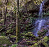 Coorabakh National Park - Hotel NSW