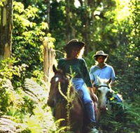 Clarendon Forest Retreat Horse Riding - Hotel NSW