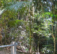 Goorgana walking track - Hotel NSW