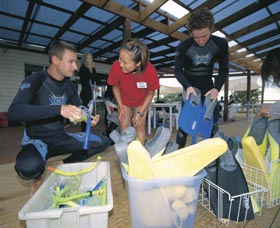 Dolphin Discovery Centre - Hotel NSW 1