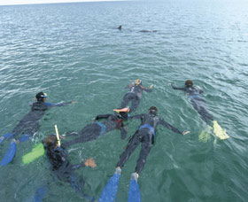 Dolphin Discovery Centre - Hotel NSW 2