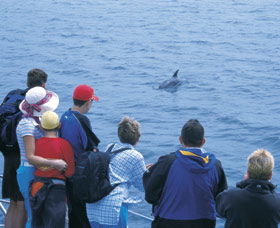 Dolphin Discovery Centre - Hotel NSW 3