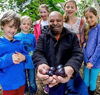 Wigay Aboriginal Culture Park - Hotel NSW