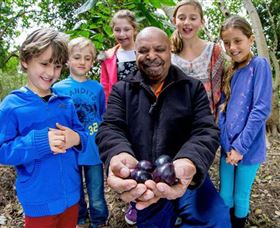 Wigay Aboriginal Culture Park - Hotel NSW 0