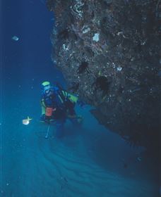Scottish Prince Dive Site - Hotel NSW 1