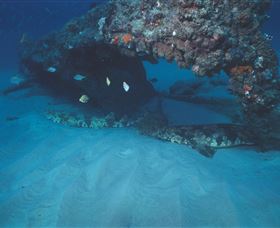 Scottish Prince Dive Site - Hotel NSW 3