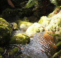 South East Forests National Park - Hotel NSW