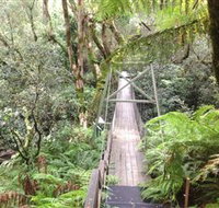 Bemm River Scenic Reserve - Hotel NSW