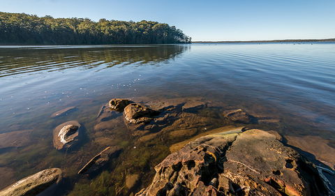 Queens Lake Nature Reserve - Hotel NSW 0