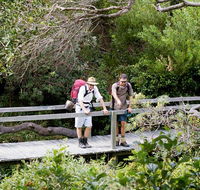 Wilsons Headland walking track - Hotel NSW