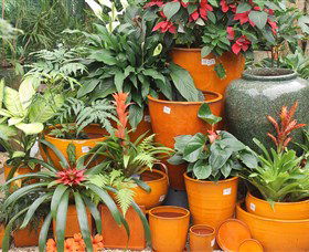 Diamond Waters Garden Nursery - Hotel NSW 1