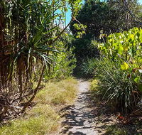 North Head walking track - Hotel NSW
