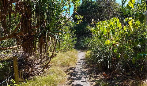 North Head Walking Track - Hotel NSW 0