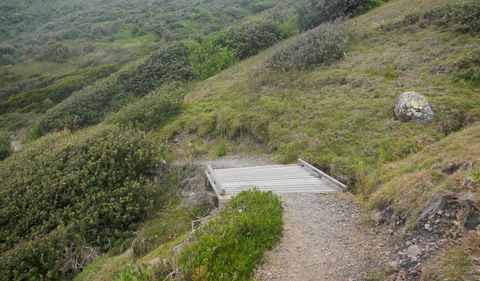 Connors Walking Track - Hotel NSW 2