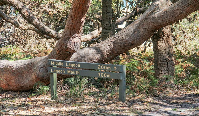 Stony Creek NSW Hotel NSW